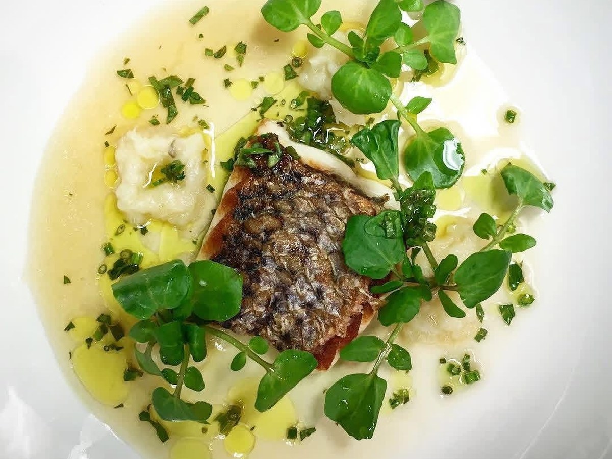 Fish · greens · sauce